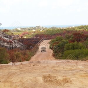 Four-wheel-drive on a sandy track with ocean beyond coastal scrub. Elim Beach, Australia.