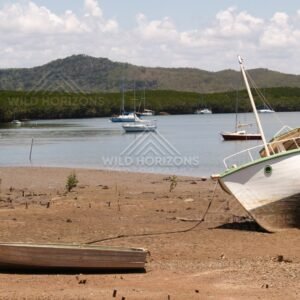 Boats and yachts in a tidal harbour with mangroves and hills. Cooktown, Australia.