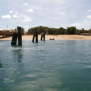 Old wharf pylons and a small jetty leading to a tropical beach. Seisia, Queensland, Australia.