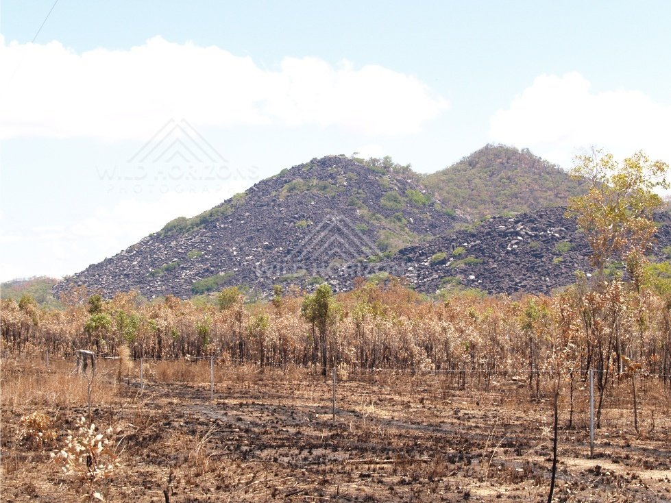 Volcanic slope of Black Mountain rising above dry woodland. Black Mountain, Australia.