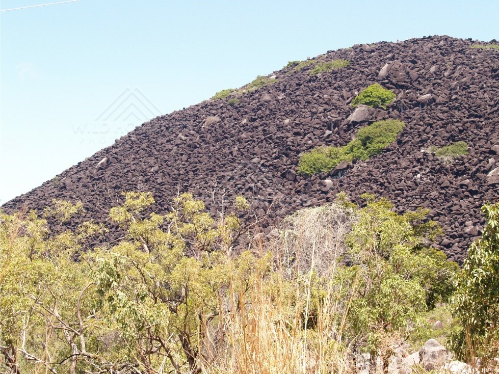 Dark granite boulders of Black Mountain above sparse vegetation. Black Mountain, Australia.