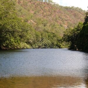 Calm reach of the Bloomfield River bordered by rainforest. Bloomfield River, Australia.
