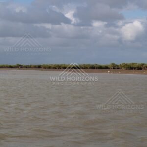 Wide channel of the Bloomfield River under cloudy sky. Bloomfield River, Australia.