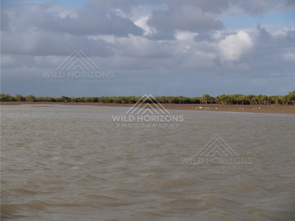 Wide channel of the Bloomfield River under cloudy sky. Bloomfield River, Australia.