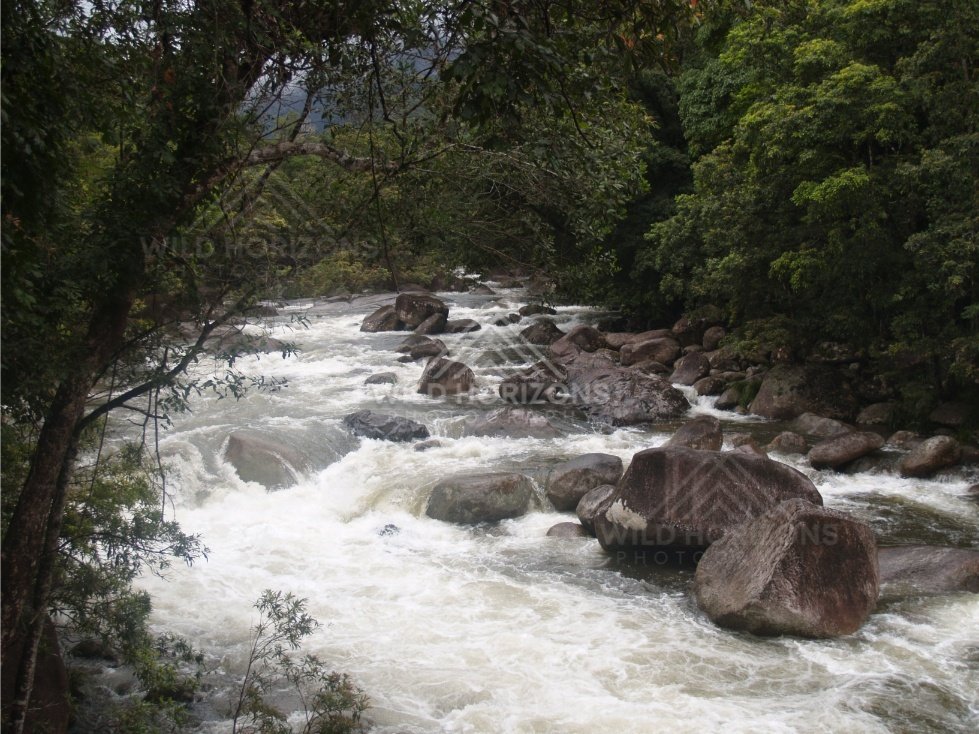 Fast water at Mossman Gorge among granite rocks. Mossman Gorge, Australia.