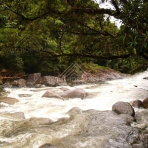 White water flowing over boulders at Mossman Gorge. Mossman Gorge, Australia.