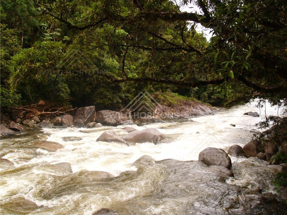 White water flowing over boulders at Mossman Gorge. Mossman Gorge, Australia.