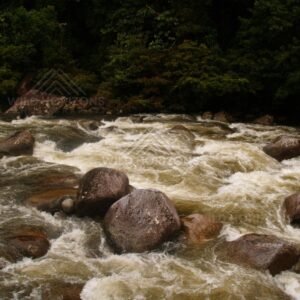Foaming rapids framed by rainforest at Mossman Gorge. Mossman Gorge, Australia.
