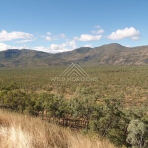 Open country between Mount Carbine and Lakefield. Queensland, Australia.