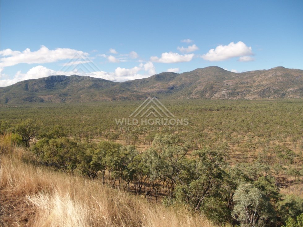 Open country between Mount Carbine and Lakefield. Queensland, Australia.