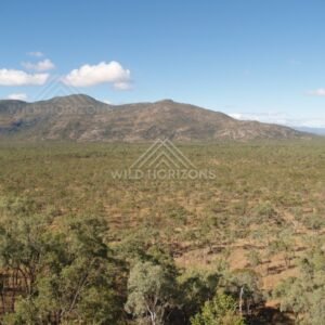 Distant ranges above Cape York woodland. Queensland, Australia.