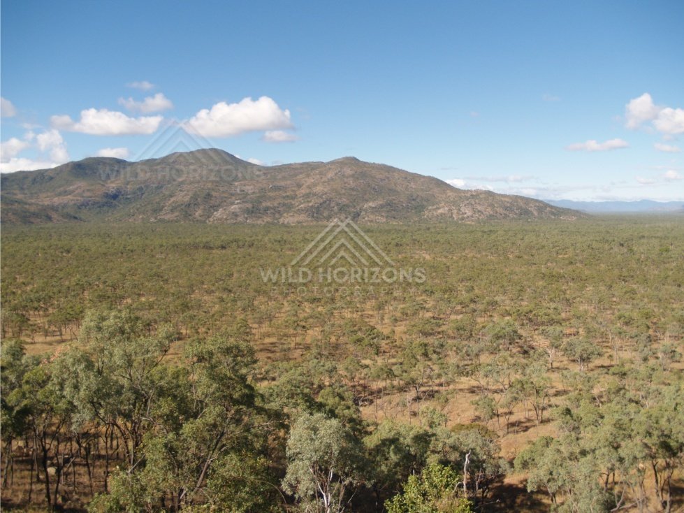 Distant ranges above Cape York woodland. Queensland, Australia.