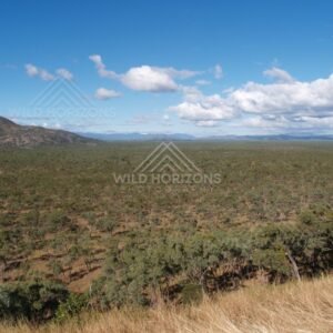 Waterlily-covered lagoon bordered by tropical woodland. Keating's Lagoon, Australia.