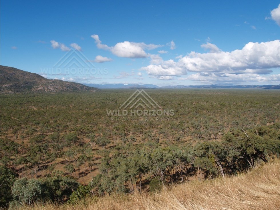 Waterlily-covered lagoon bordered by tropical woodland. Keating's Lagoon, Australia.