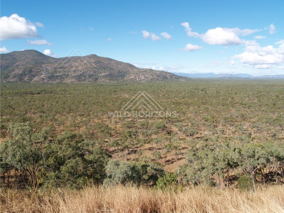 Rocky mountain massif rising above open Cape York woodland. Queensland, Australia.