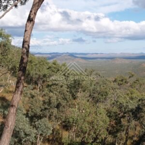 Lookout view over forested hills with eucalypts in the foreground. Queensland, Australia.
