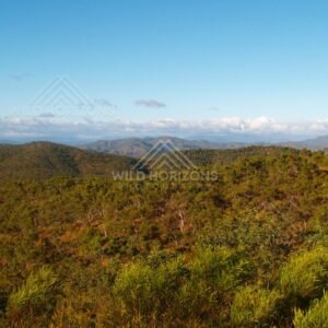 Sweeping view of rolling forested hills under a clear blue sky. Queensland, Australia.