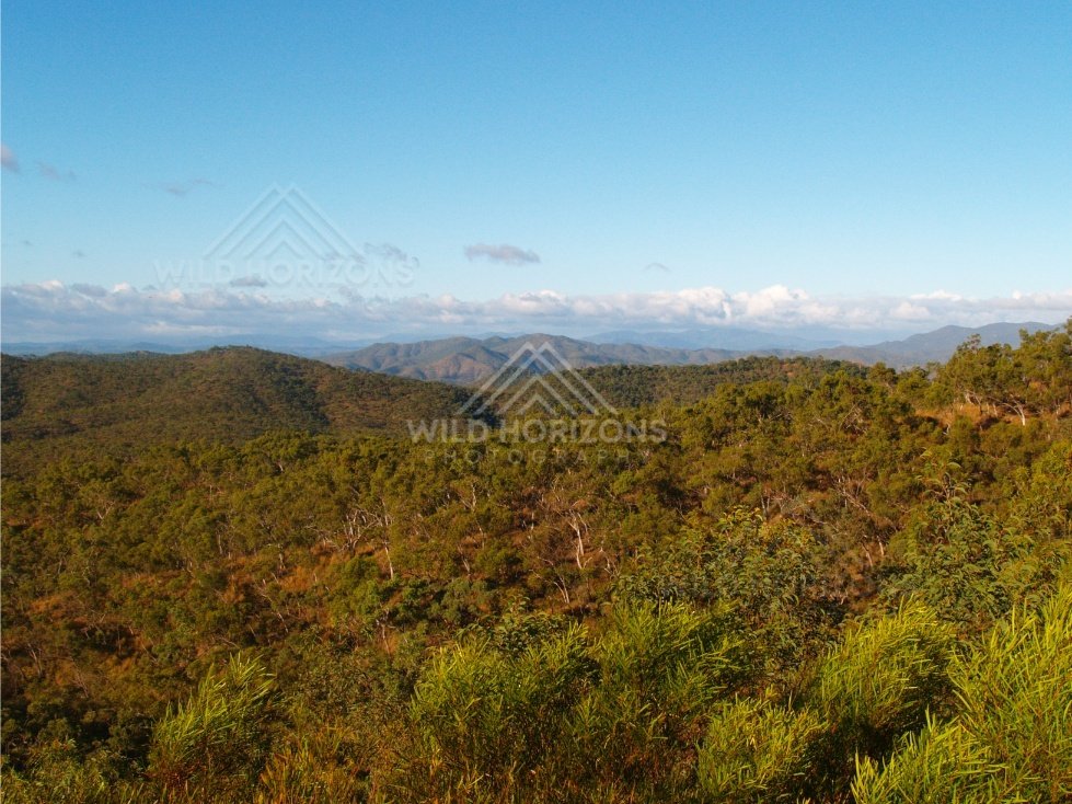 Sweeping view of rolling forested hills under a clear blue sky. Queensland, Australia.