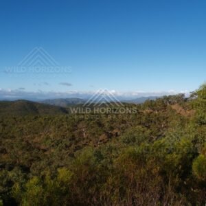Distant mountains beyond a band of treetops and open sky. Queensland, Australia.