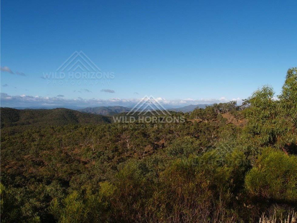 Distant mountains beyond a band of treetops and open sky. Queensland, Australia.