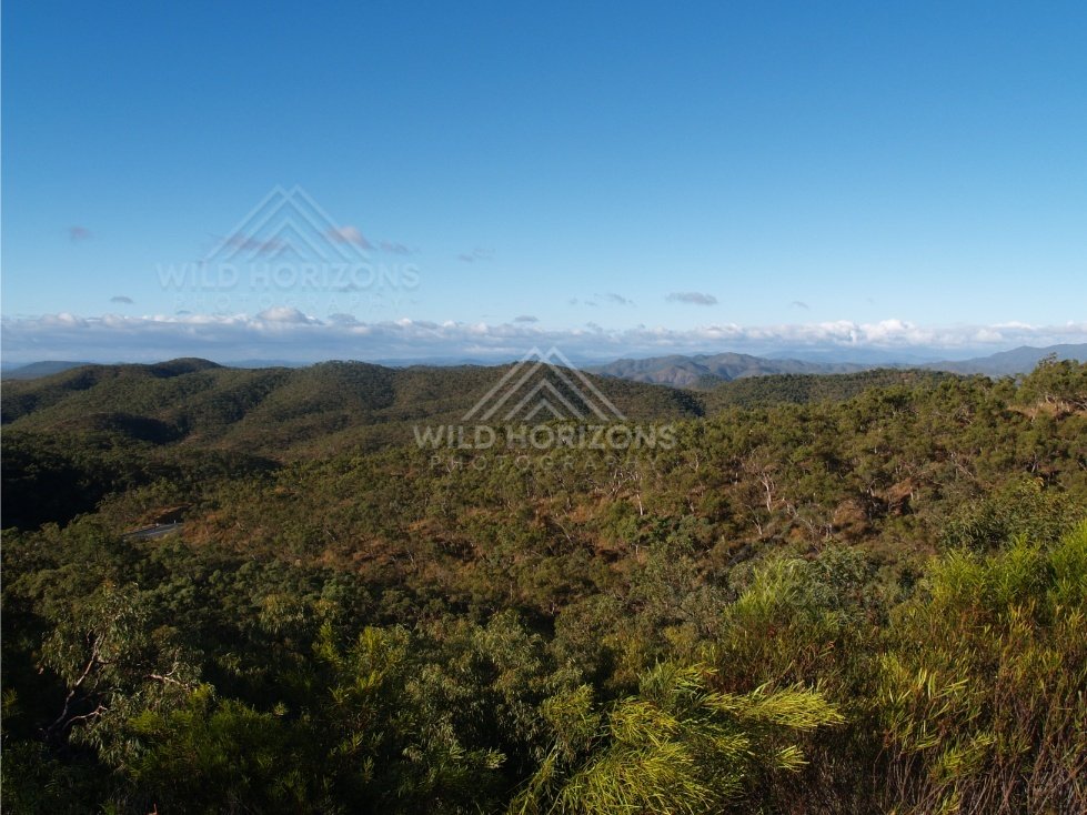 Layered mountain ranges above a blanket of rainforest canopy. Queensland, Australia.