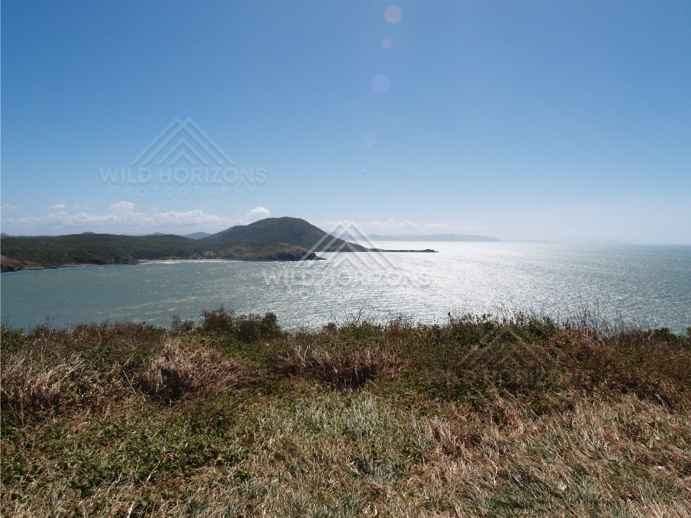 Open bay and distant headland viewed across coastal heath. Cape York, Australia.