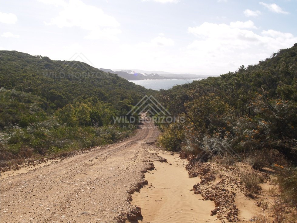 Red dirt track descending through coastal hills toward a bright bay. Elim Beach, Australia.