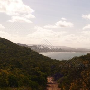 Coastal lookout over forested headlands and turquoise water under soft cloud. Elim Beach, Australia.