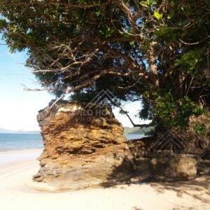 Weathered sandstone outcrop with windswept trees beside a white sand beach. Elim Beach, Australia.