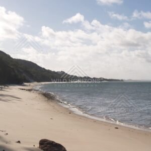 Curving tropical beach with gentle waves and scattered clouds over the sea. Elim Beach, Australia.