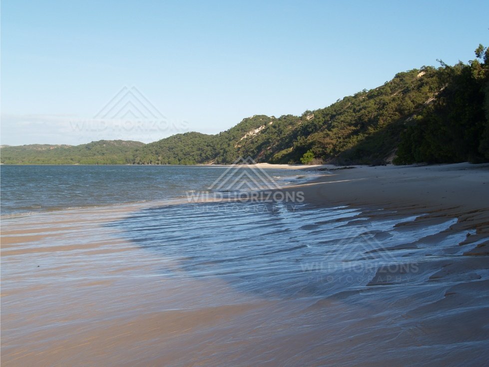 Low tide shoreline with rippled wet sand and green hills enclosing a bay. Elim Beach, Australia.