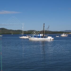 Moored yachts on blue harbour water with green hills beyond. Cooktown, Australia.