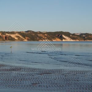 Distant sand dunes and coloured cliffs lining a wide tidal bay. Elim Beach, Australia.