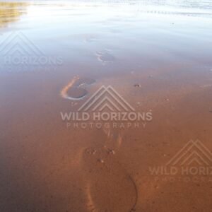 Wet sand at low tide with shallow pools and a fading shoreline. Elim Beach, Australia.