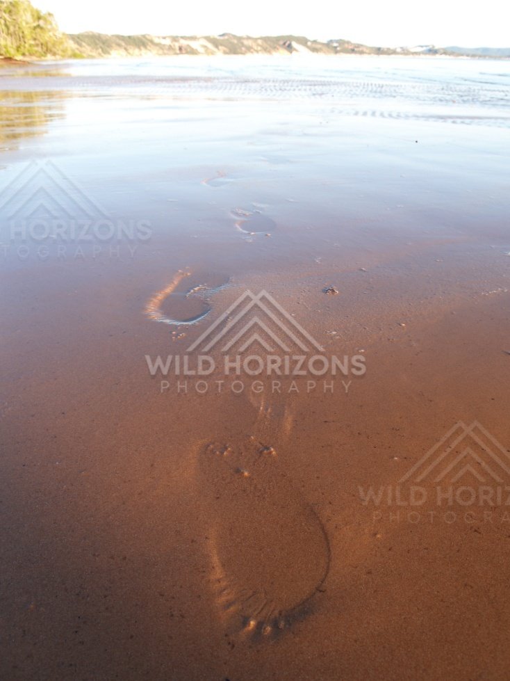 Wet sand at low tide with shallow pools and a fading shoreline. Elim Beach, Australia.