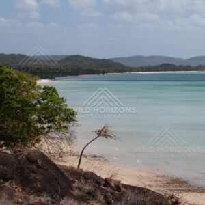 Wide Tropical Bay with White Sand Beach and Forested Coastline. Cape York, Australia.