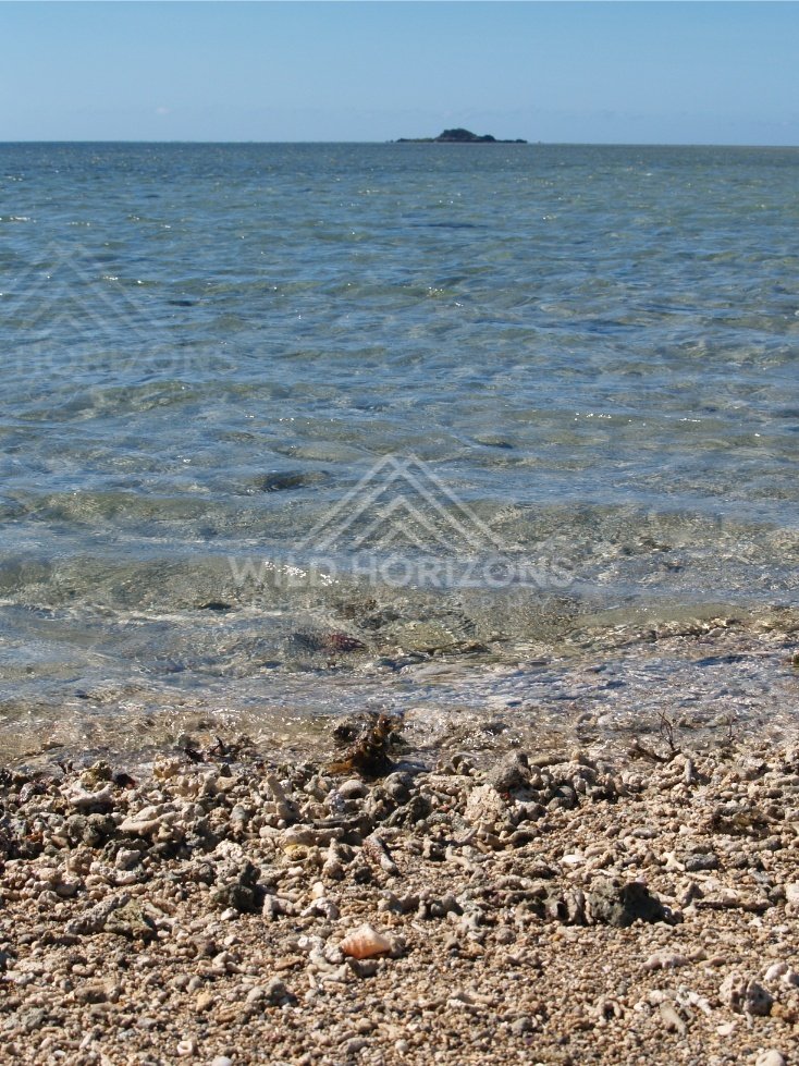 Coral rubble shoreline meeting transparent water with a small rocky island offshore. Elim Beach, Australia.