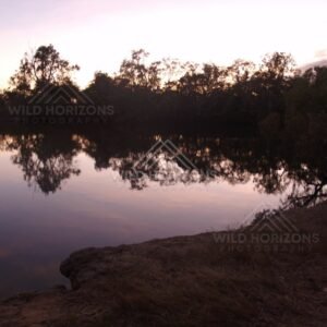 Still river at dusk reflecting silhouetted trees beneath a pale pink sky. Lakefield National Park, Australia.