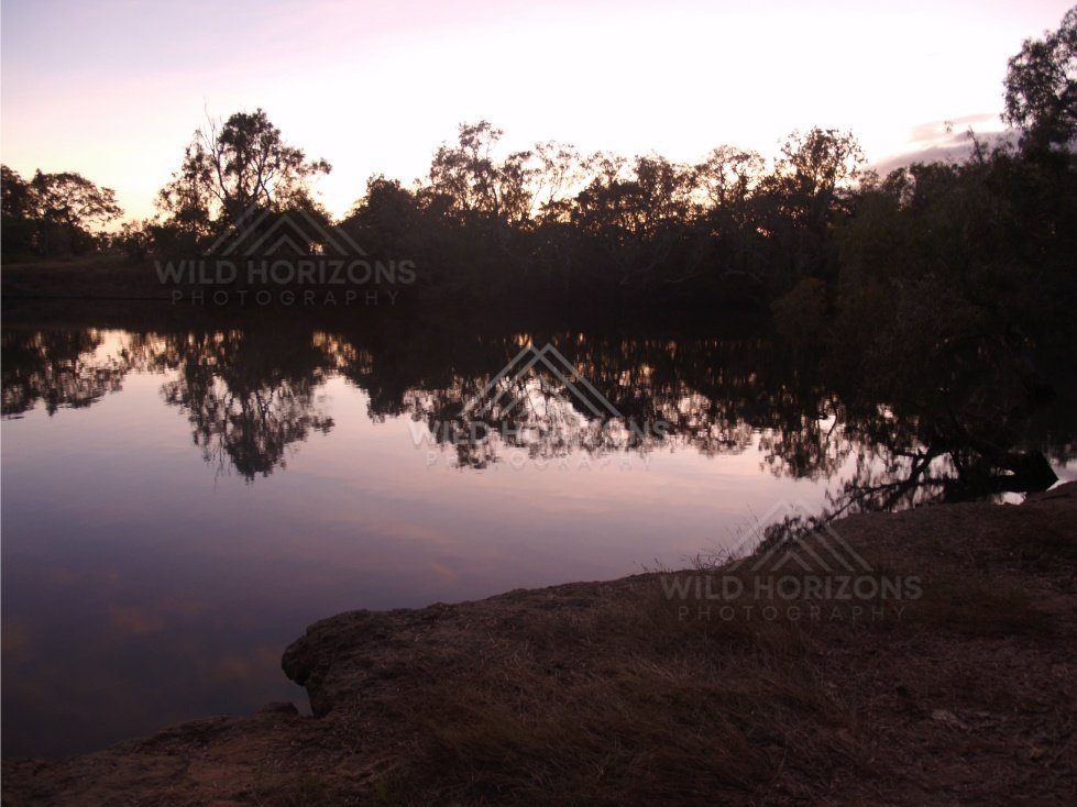 Still river at dusk reflecting silhouetted trees beneath a pale pink sky. Lakefield National Park, Australia.