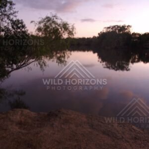 Mirror-calm river at dusk with overhanging branches and pastel clouds reflected in the water. Lakefield National Park, Australia.