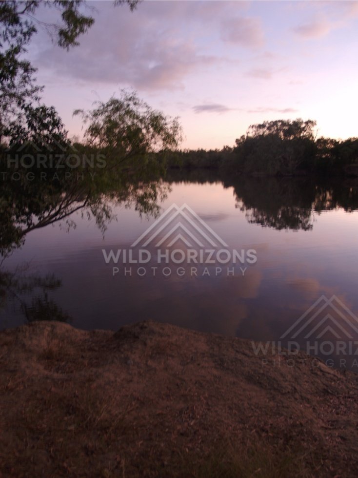 Mirror-calm river at dusk with overhanging branches and pastel clouds reflected in the water. Lakefield National Park, Australia.