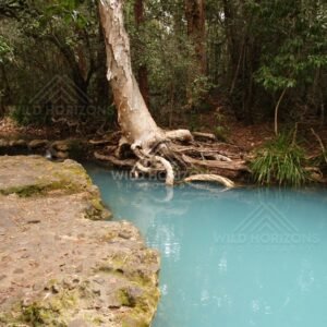 Rock ledge beside a clear blue pool with exposed tree roots. Forest Creek, Australia.