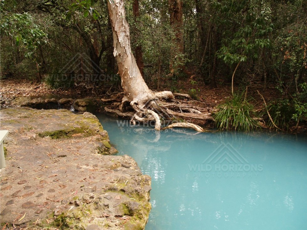 Rock ledge beside a clear blue pool with exposed tree roots. Forest Creek, Australia.