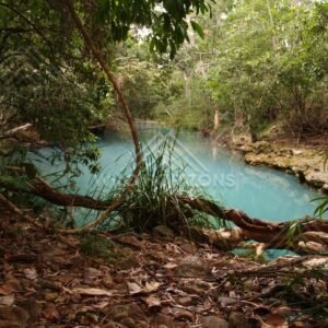 Shaded blue pool beneath rainforest canopy and overhanging branches. Forest Creek, Australia.
