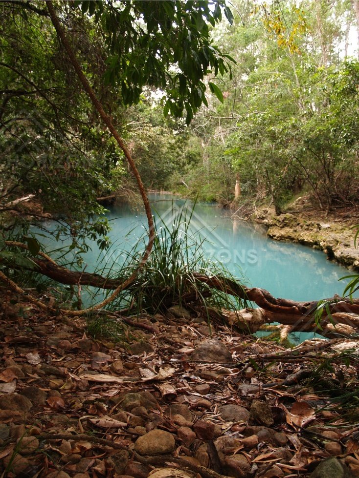 Shaded blue pool beneath rainforest canopy and overhanging branches. Forest Creek, Australia.