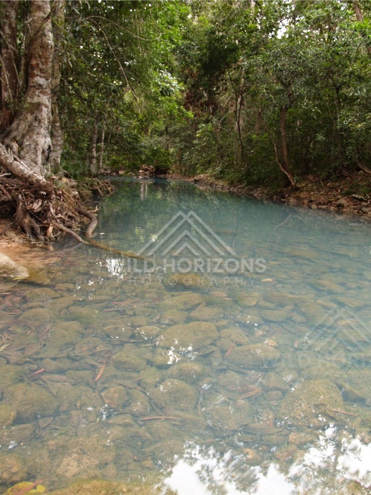Clear creek pool showing stones beneath shallow blue water. Forest Creek, Australia.