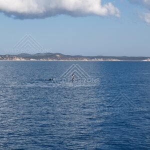 Open bay with distant headlands beneath a heavy cloud bank. Hervey Bay, Australia.