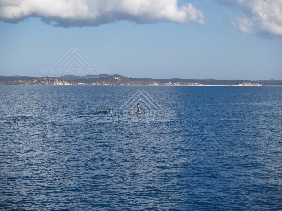 Open bay with distant headlands beneath a heavy cloud bank. Hervey Bay, Australia.