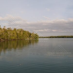 Wide calm river with forested banks under an overcast sky. Jardine River, Queensland, Australia.