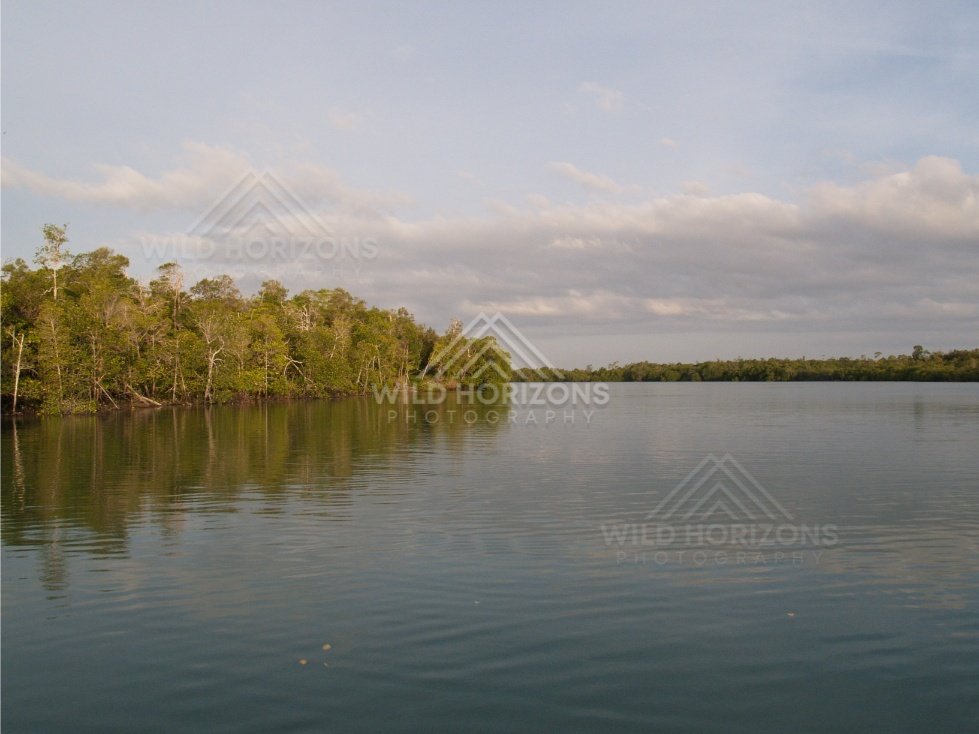 Wide calm river with forested banks under an overcast sky. Jardine River, Queensland, Australia.